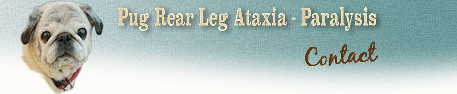 Contact for Pug Myelopathy